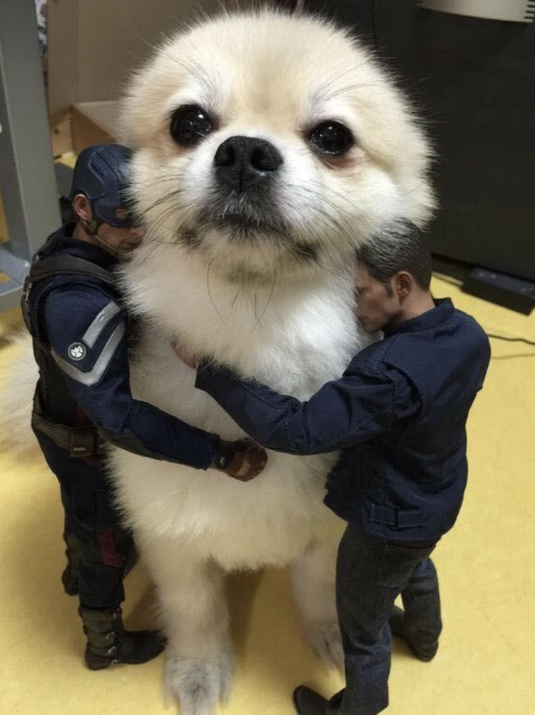 25 Bizarre Images Guaranteed to Make You Do a Double Take