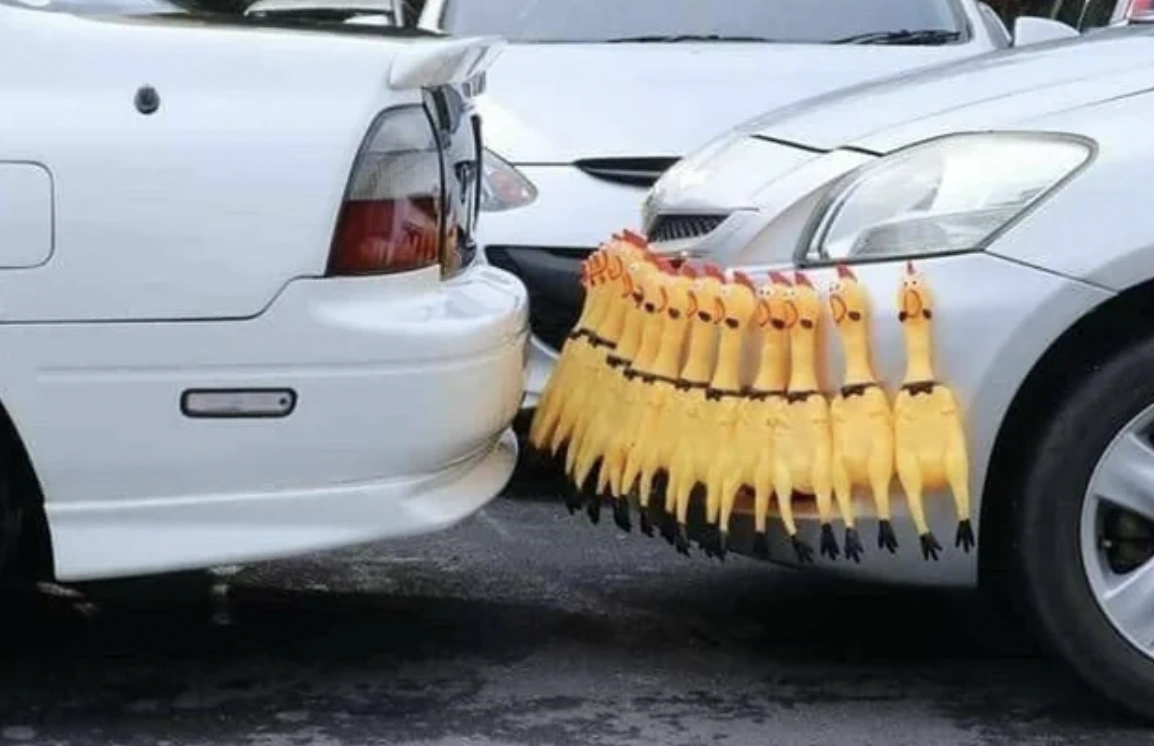 25 Bizarre Images Guaranteed to Make You Do a Double Take