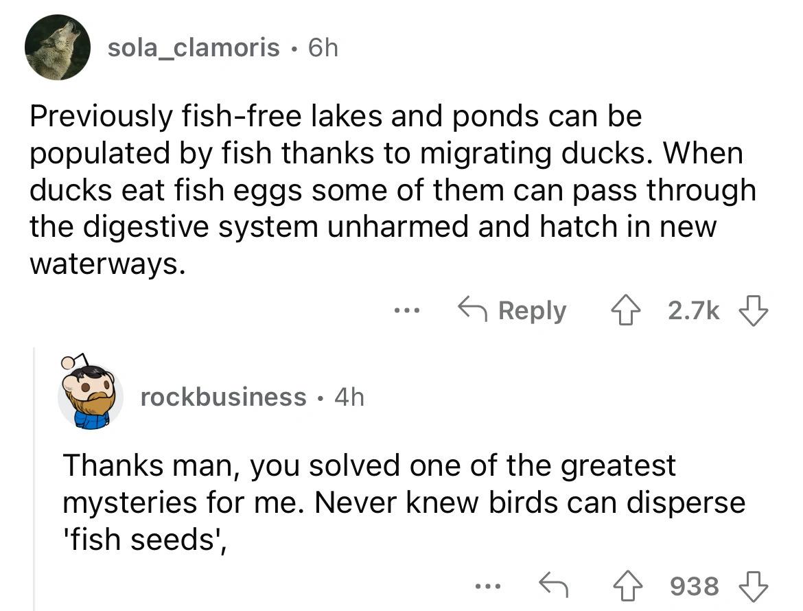 24 Oddities and Unusual Realities From Our Quirky Planet