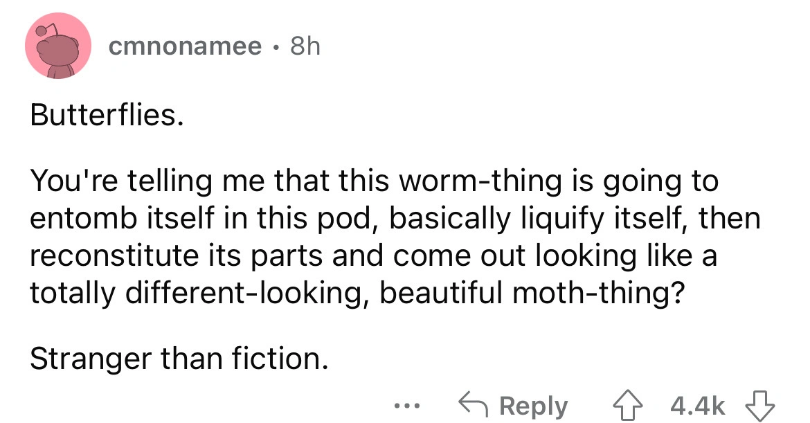 24 Oddities and Unusual Realities From Our Quirky Planet