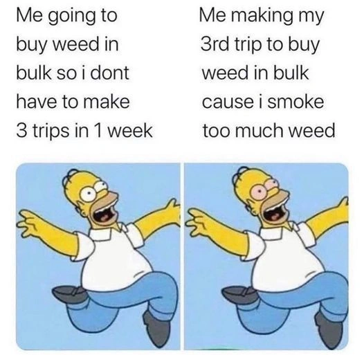 29 Hilarious Memes for Those Enjoying a Good High