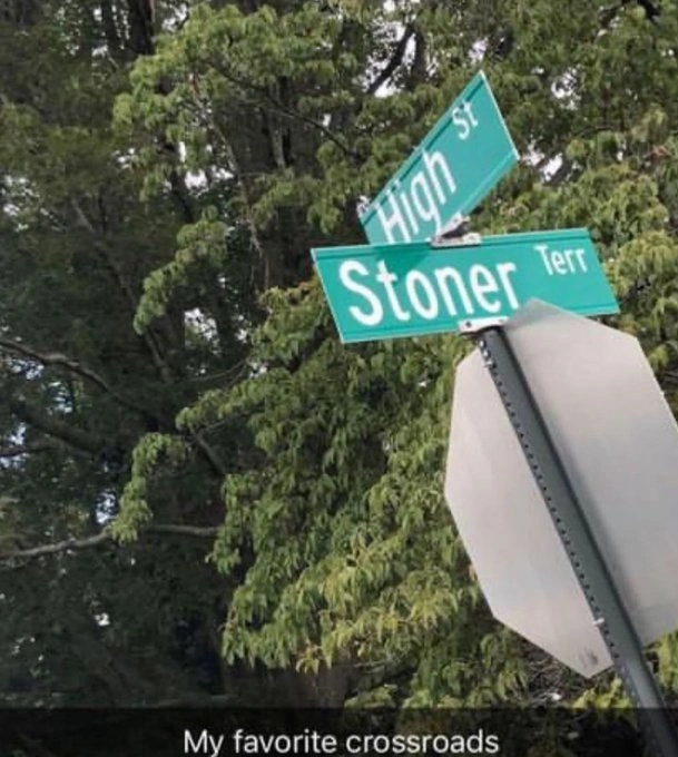 29 Hilarious Memes for Those Enjoying a Good High
