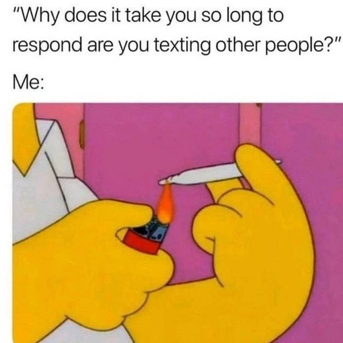29 Hilarious Memes for Those Enjoying a Good High