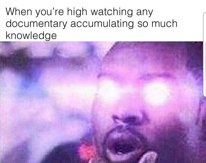 29 Hilarious Memes for Those Enjoying a Good High