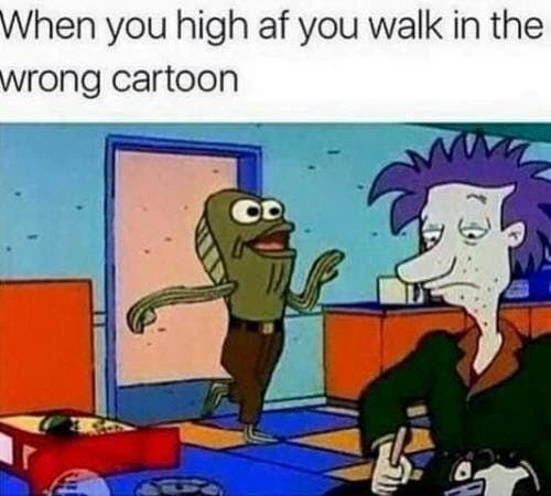 29 Hilarious Memes for Those Enjoying a Good High