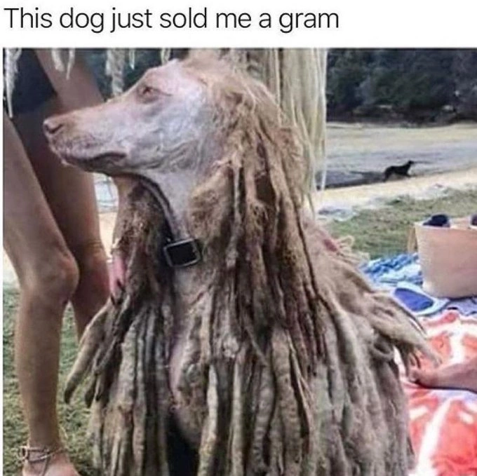 29 Hilarious Memes for Those Enjoying a Good High