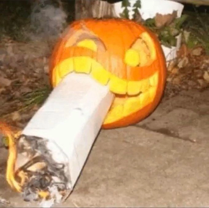 29 Hilarious Memes for Those Enjoying a Good High