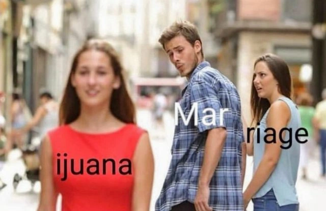 29 Hilarious Memes for Those Enjoying a Good High