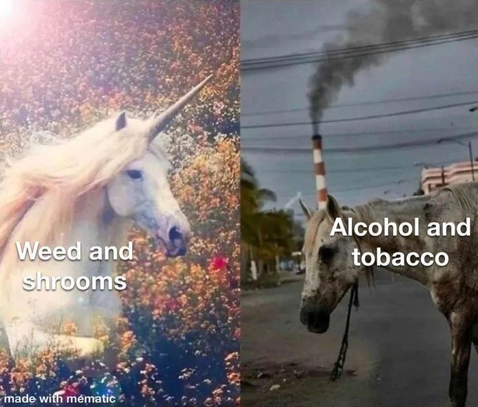 29 Hilarious Memes for Those Enjoying a Good High