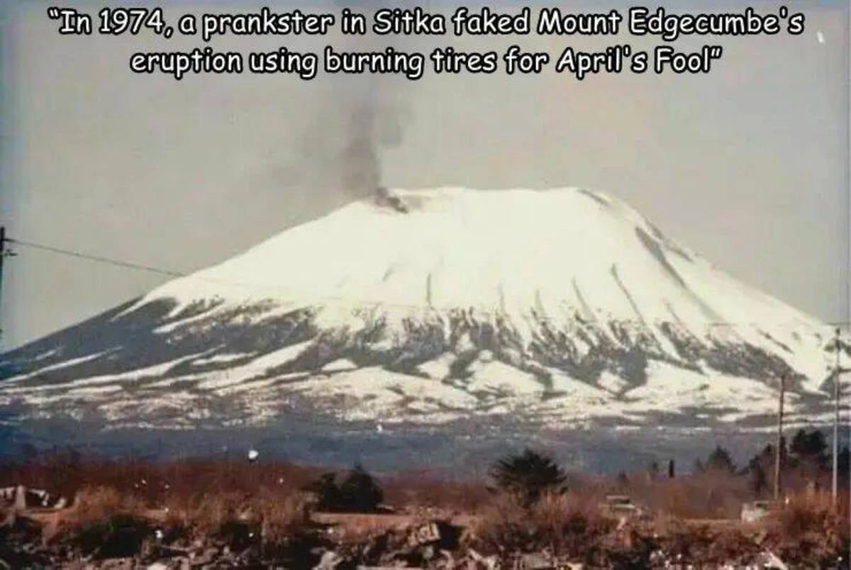 44 Photos to Keep You Entertained Until Dawn