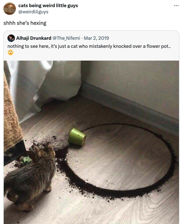 Laughing Out Loud: Our Top 24 Picks for the Funniest Tweets of the Day