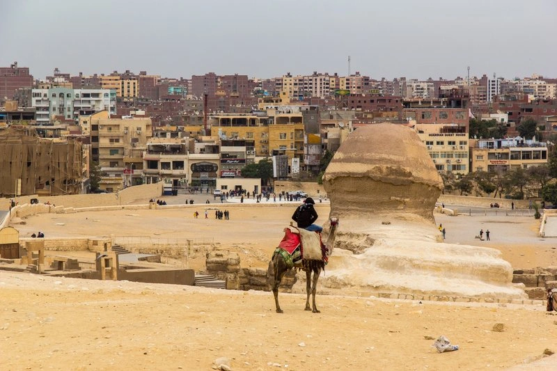 Captivating Images and Intriguing Photographs to Spark Your Curiosity