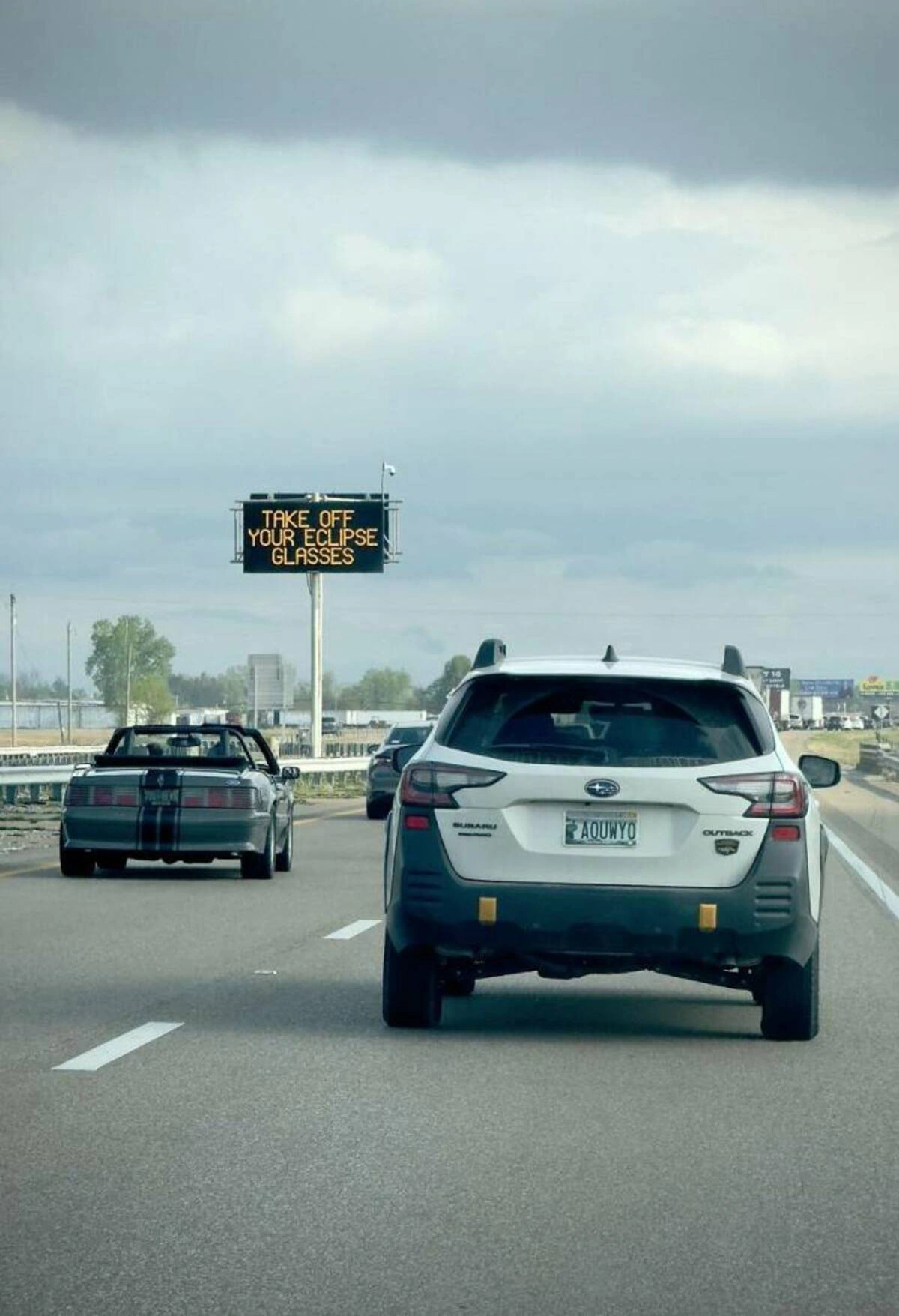 41 Fantastic Images and Memes to Brighten Your Day