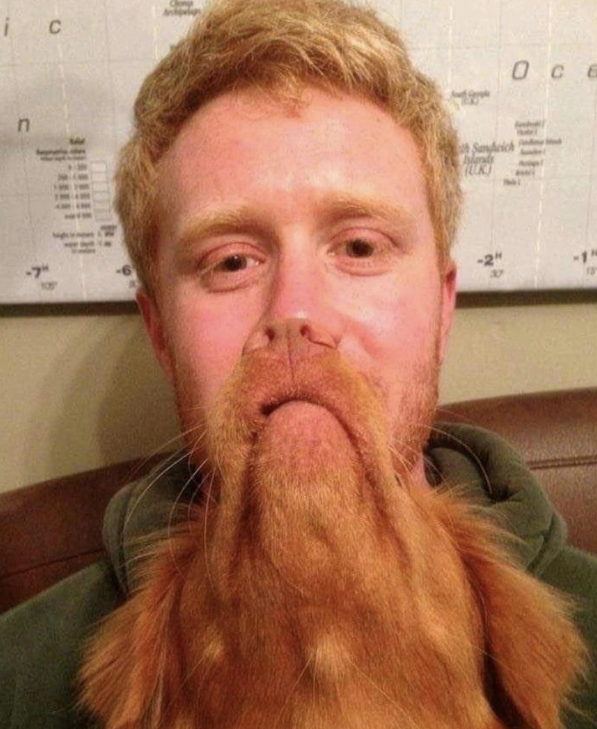 20 Mind-Bending Optical Illusion Photos