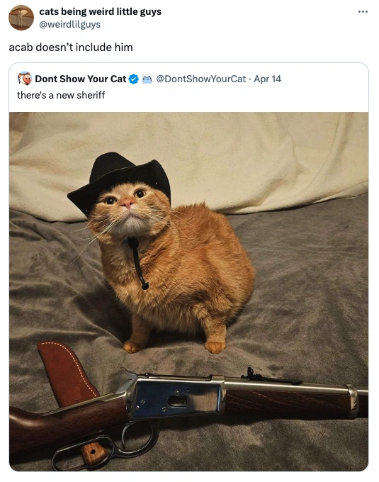 21 Hilarious Tweets to Brighten Your Morning