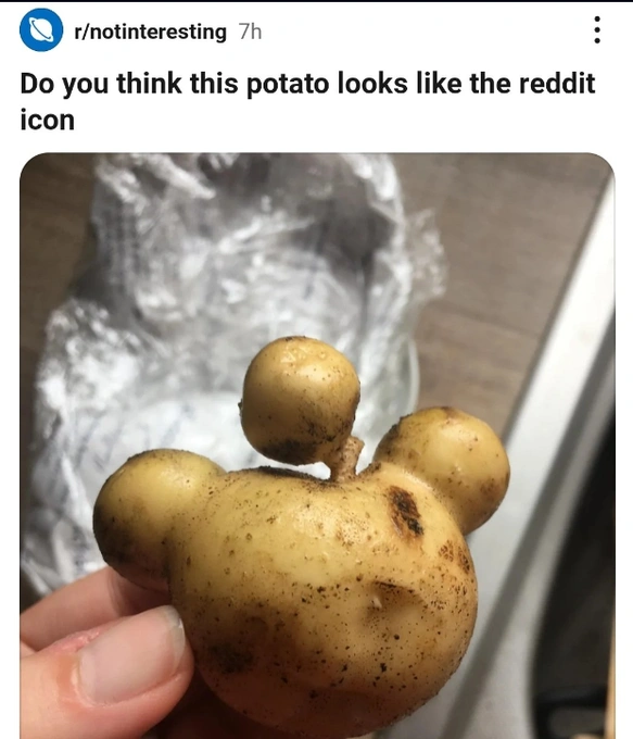 31 Heartwarming and Bizarre Posts From the Bright Side of Reddit