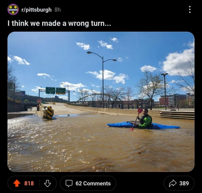 31 Heartwarming and Bizarre Posts From the Bright Side of Reddit