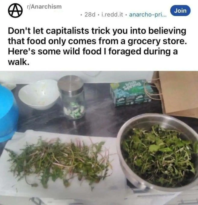 31 Heartwarming and Bizarre Posts From the Bright Side of Reddit