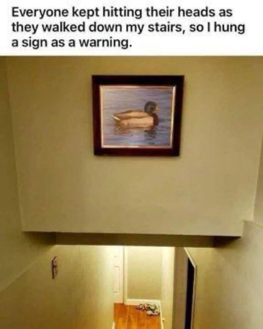 31 Heartwarming and Bizarre Posts From the Bright Side of Reddit