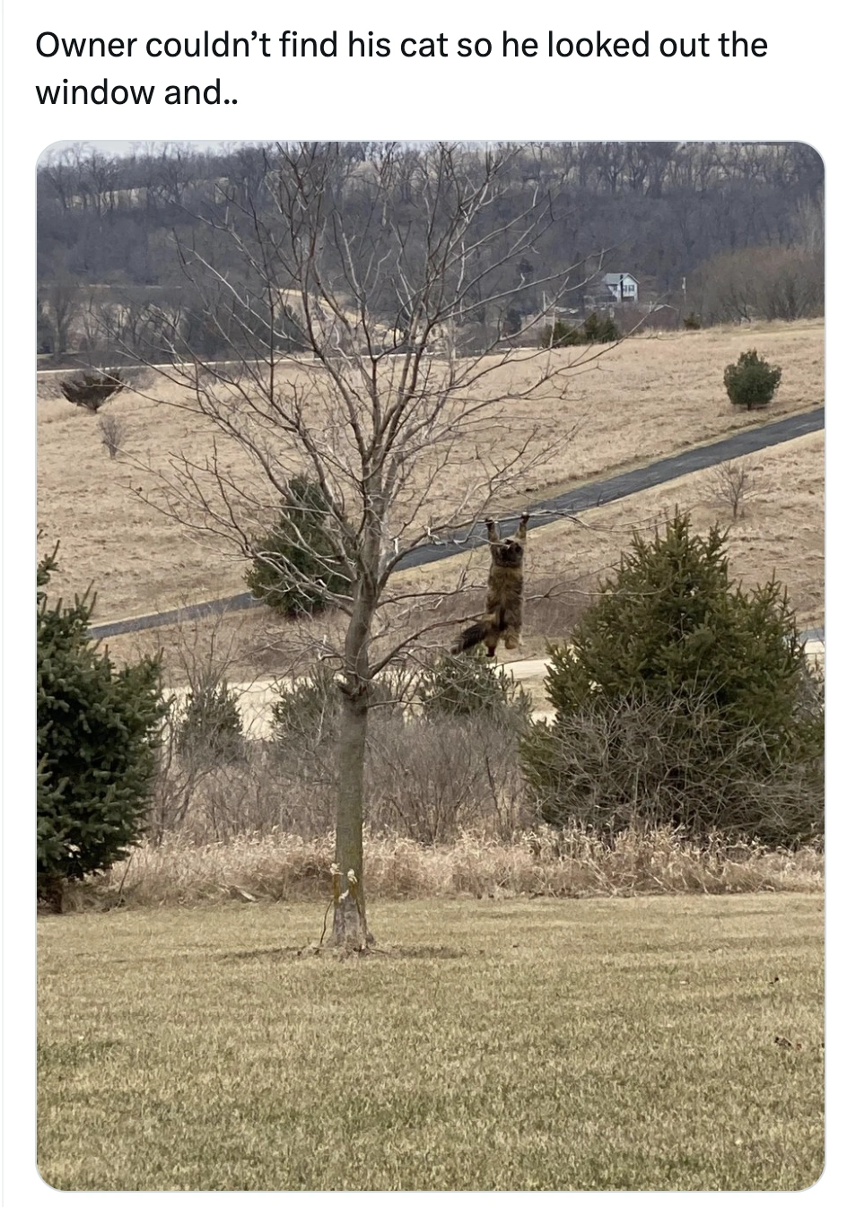 29 Hilarious Tweets from the Witty Twittersphere