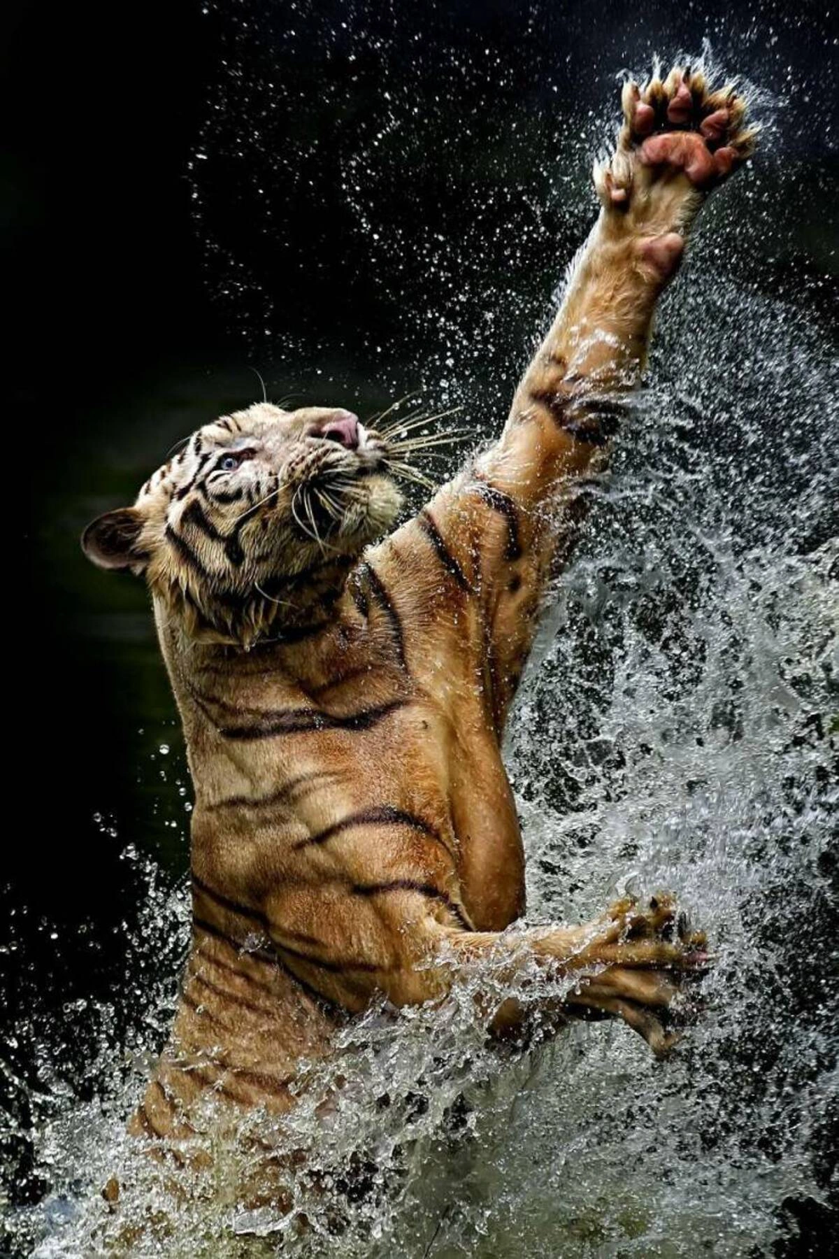 42 Fun and Pointless Ways to Waste Your Time