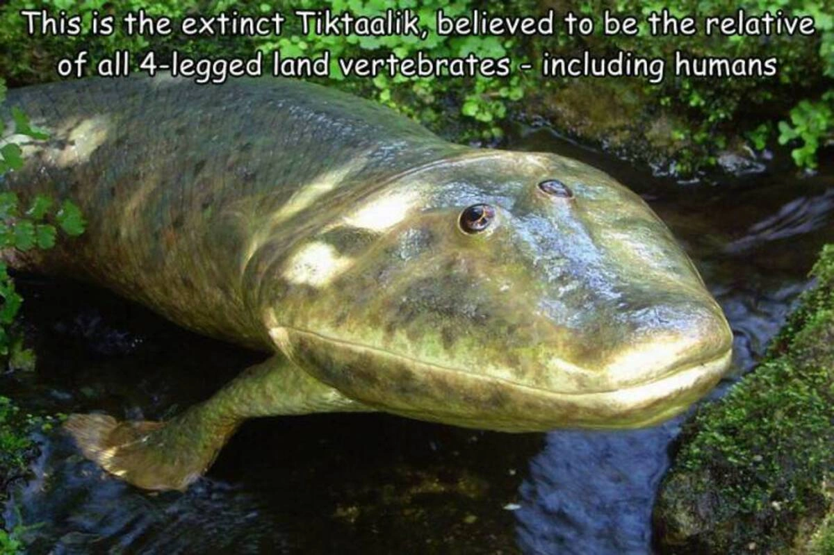 47 Fresh Late-Night Memes for the Night Owls
