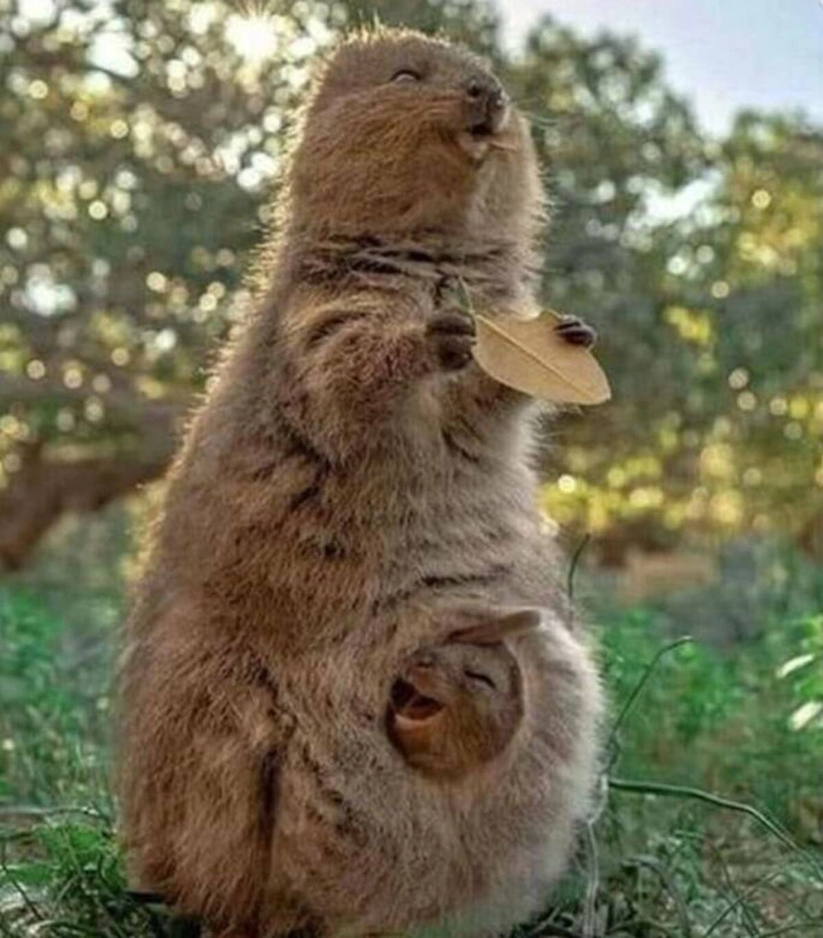 Monday Morning Madness: 39 Whimsical Photos to Kickstart Your Day