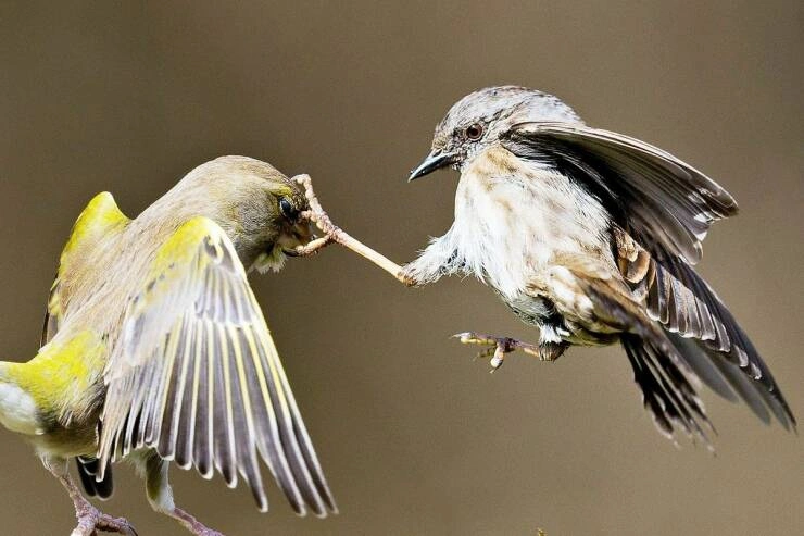 35 Captivating Images to Feast Your Eyes On
