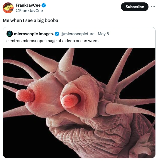 24 Hilarious Tweets That Will Make Your Day: May 8, 2024