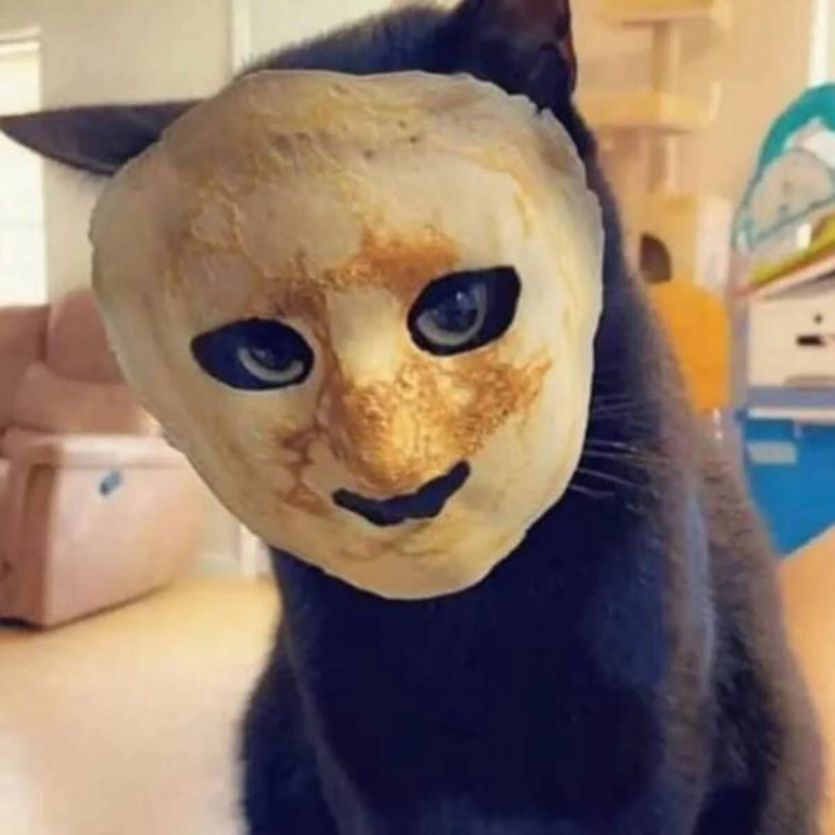 37 Captivating Images and Memes to Keep You Awake all Night
