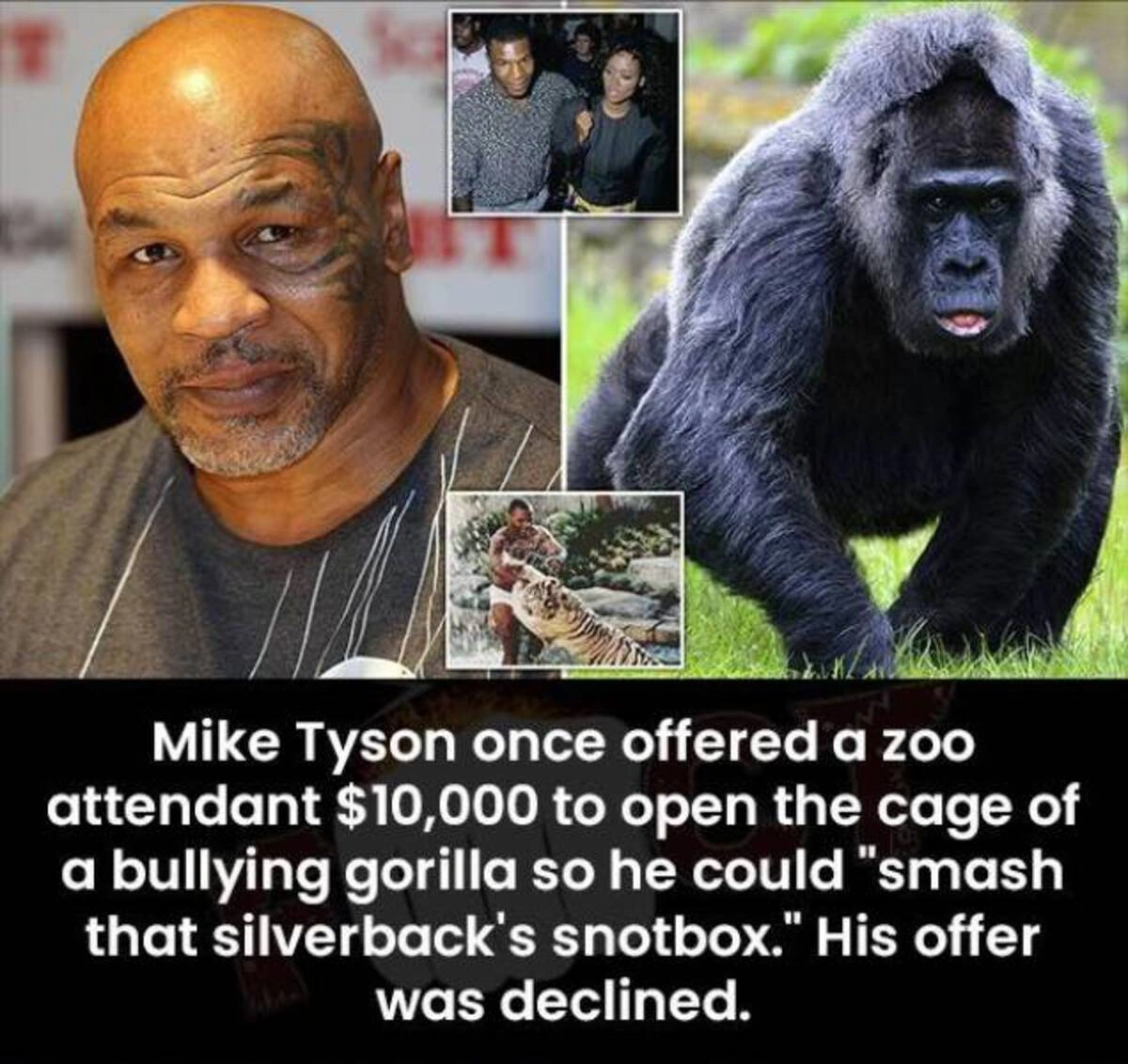 37 Captivating Images and Memes to Keep You Awake all Night