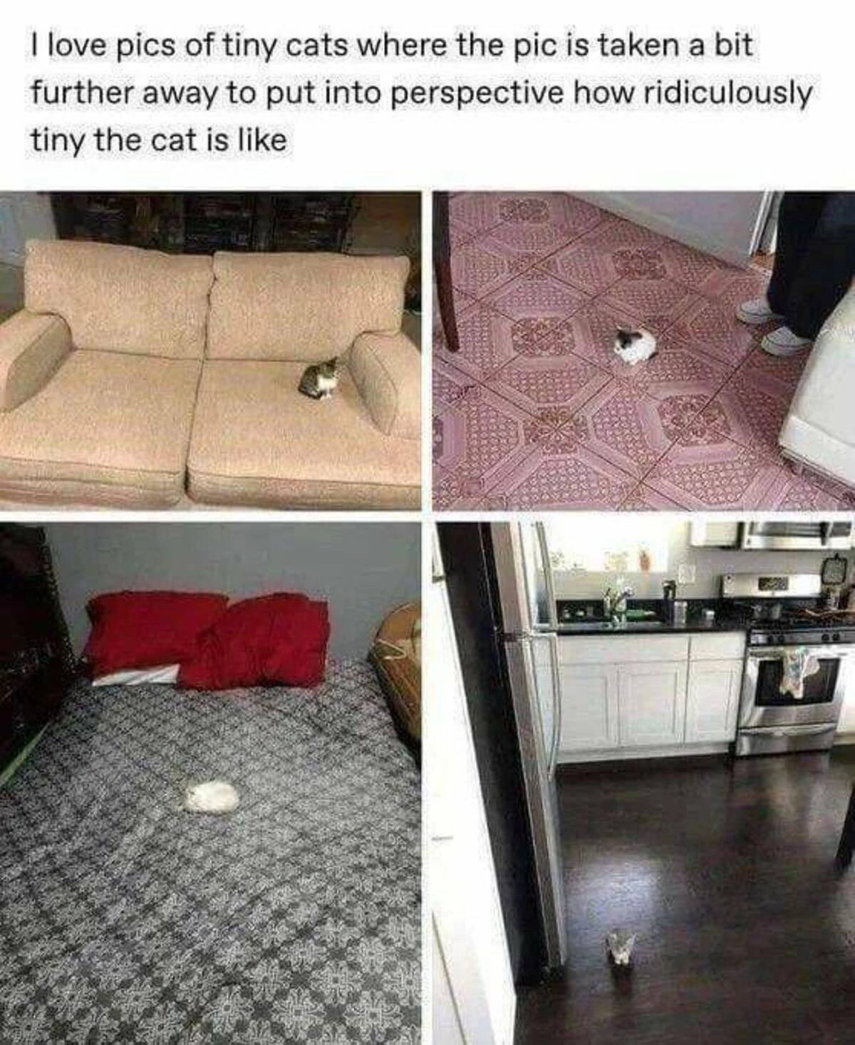37 Captivating Images and Memes to Keep You Awake all Night