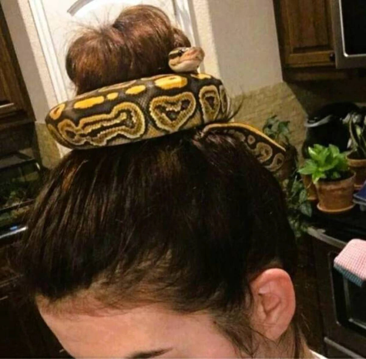 37 Captivating Images and Memes to Keep You Awake all Night