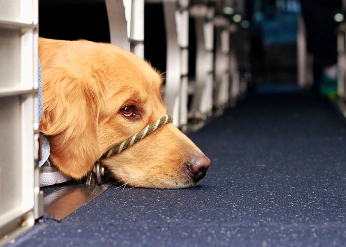 Discover 52 Intriguing Facts That Will Blow Your Mind - and Now You Can Learn Them Too