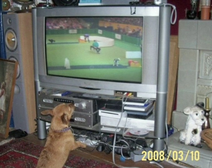 30 Blast from the Past Photos Guaranteed to Flood You with Nostalgia