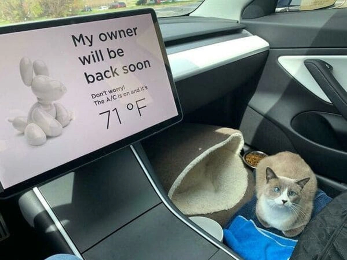 23 Brilliant Concepts and Innovative Designs That Push the Boundaries of Creativity