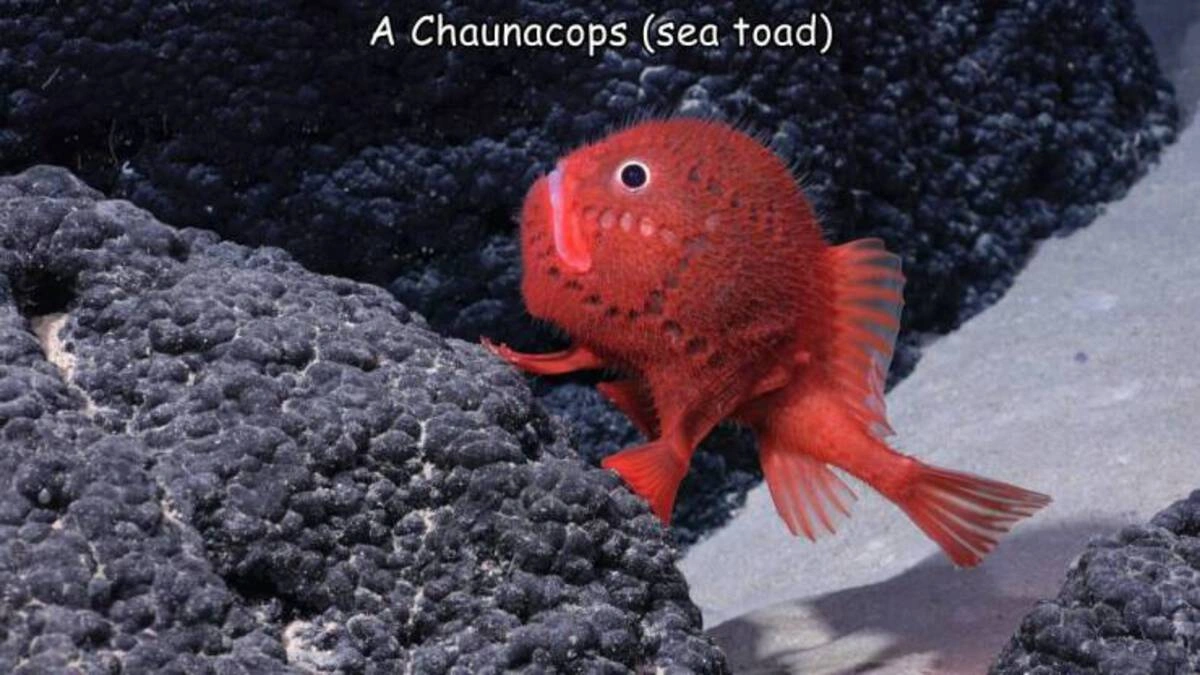 Midday Photo Blast: 49 Whimsical Images to Spark Your Imagination