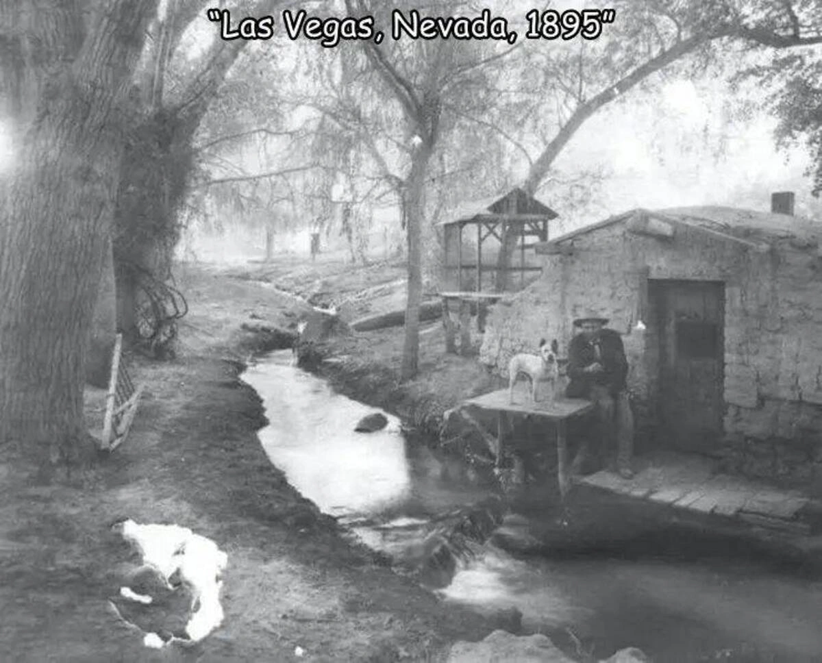 Midday Photo Blast: 49 Whimsical Images to Spark Your Imagination