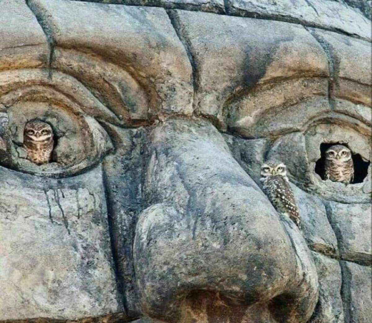 Midday Photo Blast: 49 Whimsical Images to Spark Your Imagination