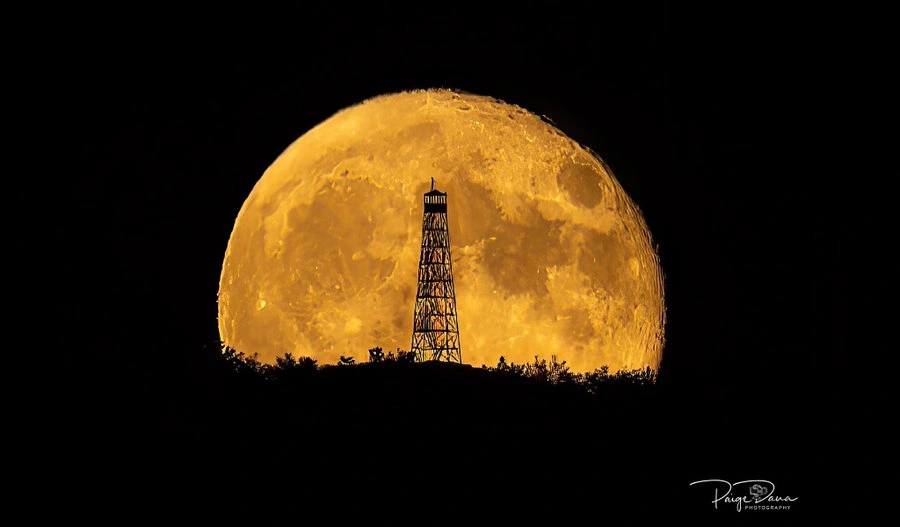 25 Photos Captured at the Perfect Moment That Resemble Something Different