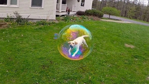 25 Photos Captured at the Perfect Moment That Resemble Something Different