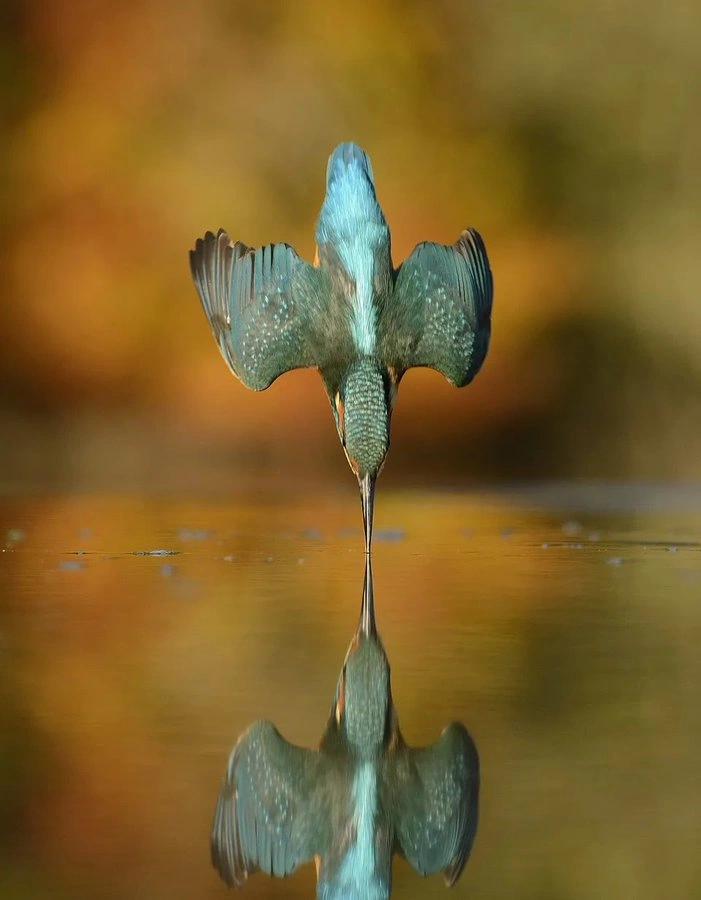 25 Photos Captured at the Perfect Moment That Resemble Something Different