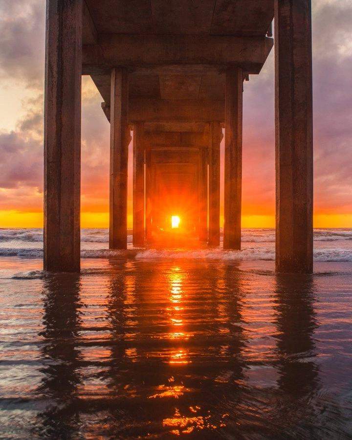 25 Photos Captured at the Perfect Moment That Resemble Something Different