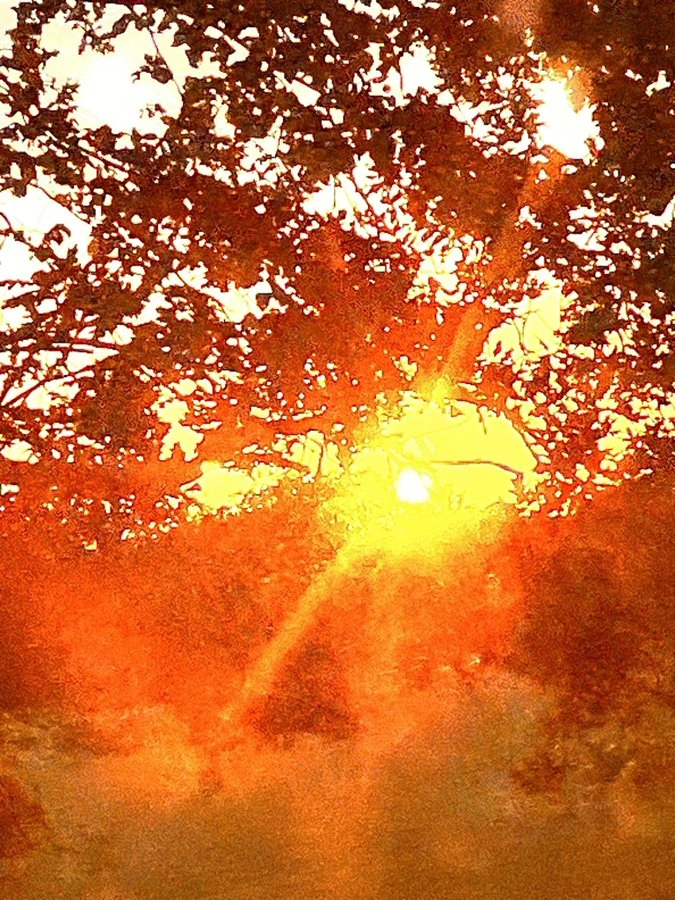 25 Photos Captured at the Perfect Moment That Resemble Something Different