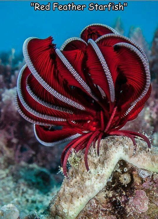 34 Breathtaking Views and Captivating Images from Nature's Wonders