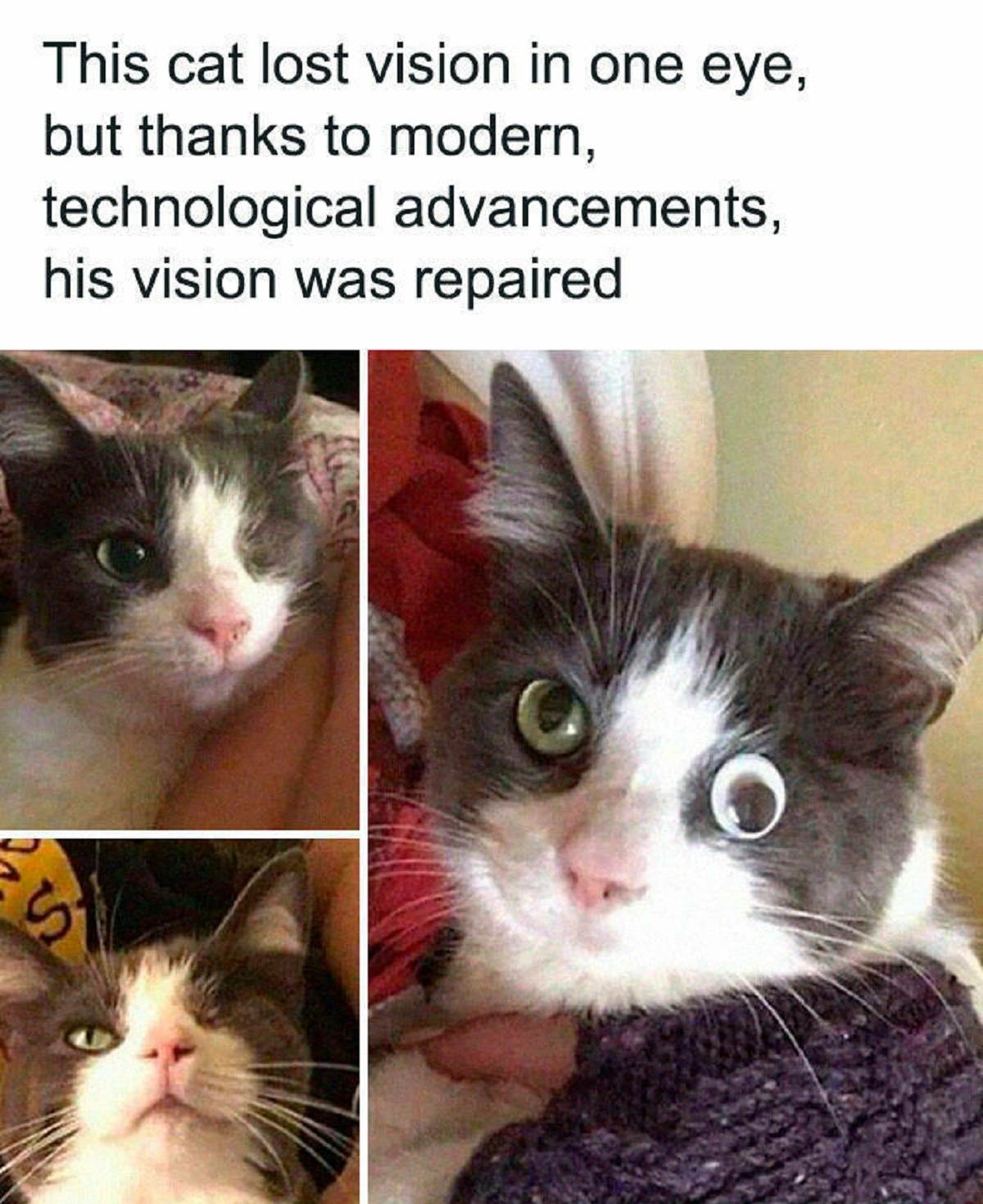28 Clever and Effective Solutions to Common Problems