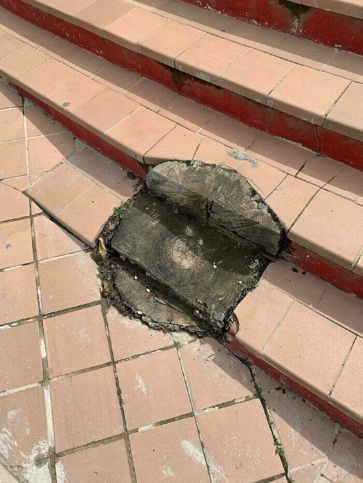 28 Clever and Effective Solutions to Common Problems