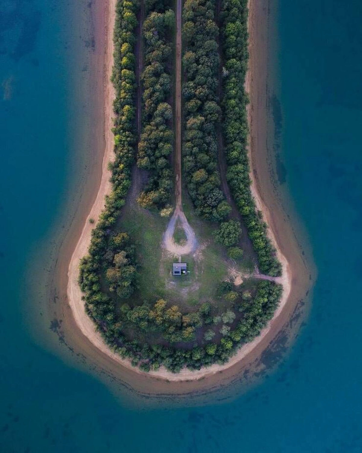 45 Captivating Images to Delight Your Senses