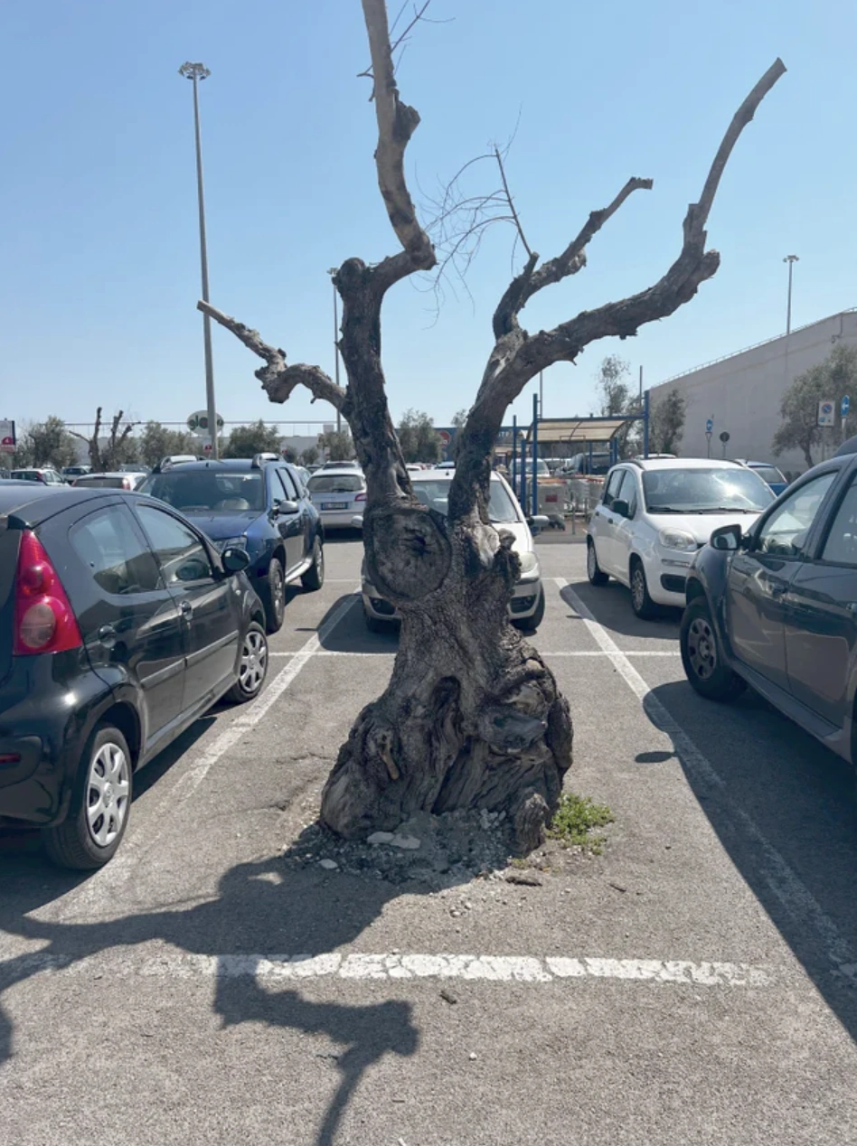 Captivating and Unusual Snapshots of Our Diverse World: 23 Stunning Images