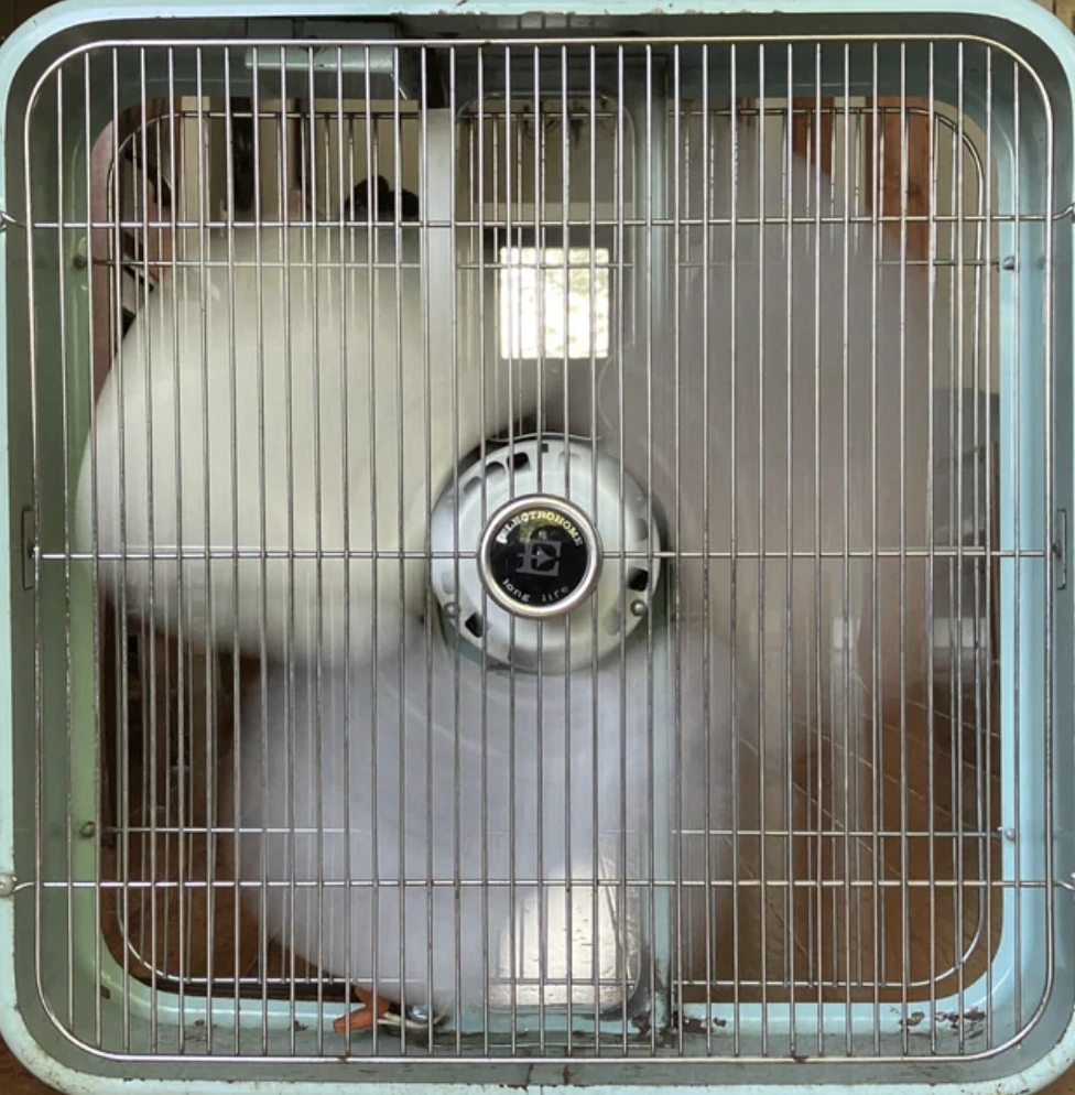 22 Things That Have Evolved from How They Used to Be Made